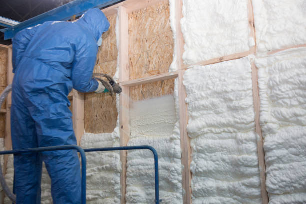 Best Garage Insulation in Clendenin, WV